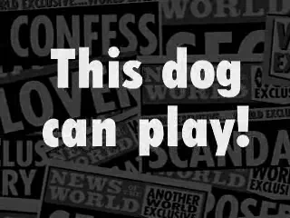 Are tehnica, viteza si da bine cu capul! Un caine stie cel mai bine cu mingea!