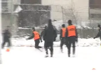 VEZI Super goluri pe ZAPADA la Alexa si compania!