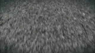 SUPERVIDEO: Vezi primele imagini cu Audi R8 V10!