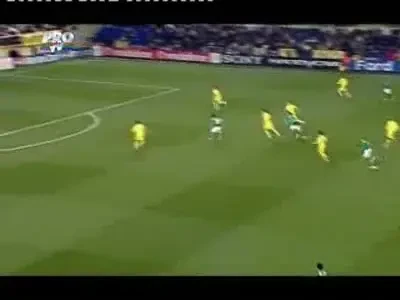 Vezi gol FABULOS al lui Karagounis!
