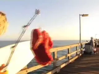 Surf printre rechini! Curaj sau nebunie?