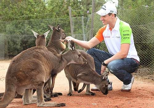 FIA a decis ca titlul mondial la piloti in Formula 1 sa fie atribuit dupa numarul de puncte!_10