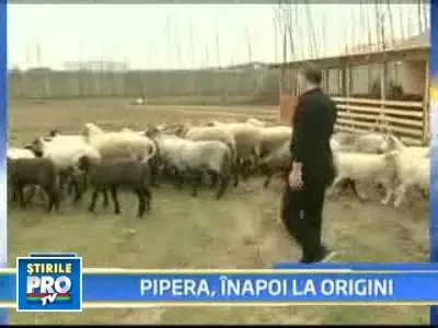 FOARTE TARE! Cum gestioneaza Becali CRIZA: