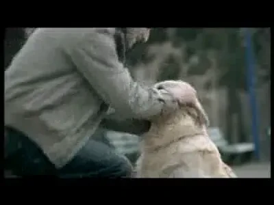 Stelistii au invatat cainii sa cante Scooter, iar dinamovistii interzic cuvantul Steaua ! Vezi spoturile ProSport