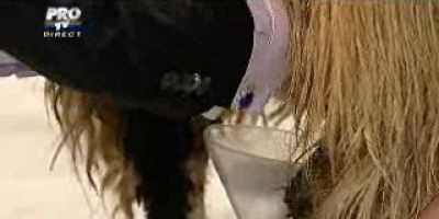 De la extaz la agonie: in IMAGINI viata lui Becali in ultimele 24 de ore!_5