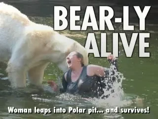 VIDEO / A vrut sa se joace cu Knut si era sa moara..