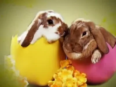 Printre mielusei si iepurasi, Sport.ro iti da alternativa! Super program de Paste la Sport.ro!