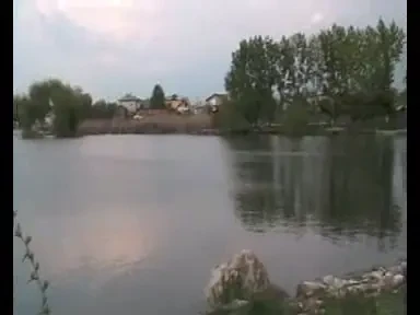 VIDEO INCREDIBIL: Fanii Stelei distrug cu topoare steguri capturate de la dinamovisti!