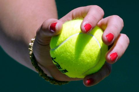 Super FOTO: Cum se traieste Wimbledonul!_4