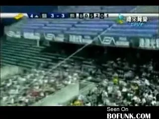 Vezi cum aterizeaza o mingea de baseball in pizza unui spectator! :)