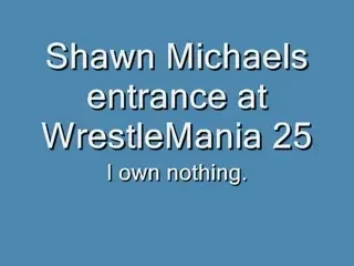 Shawn Michaels e gata de reintorcere in actiune?