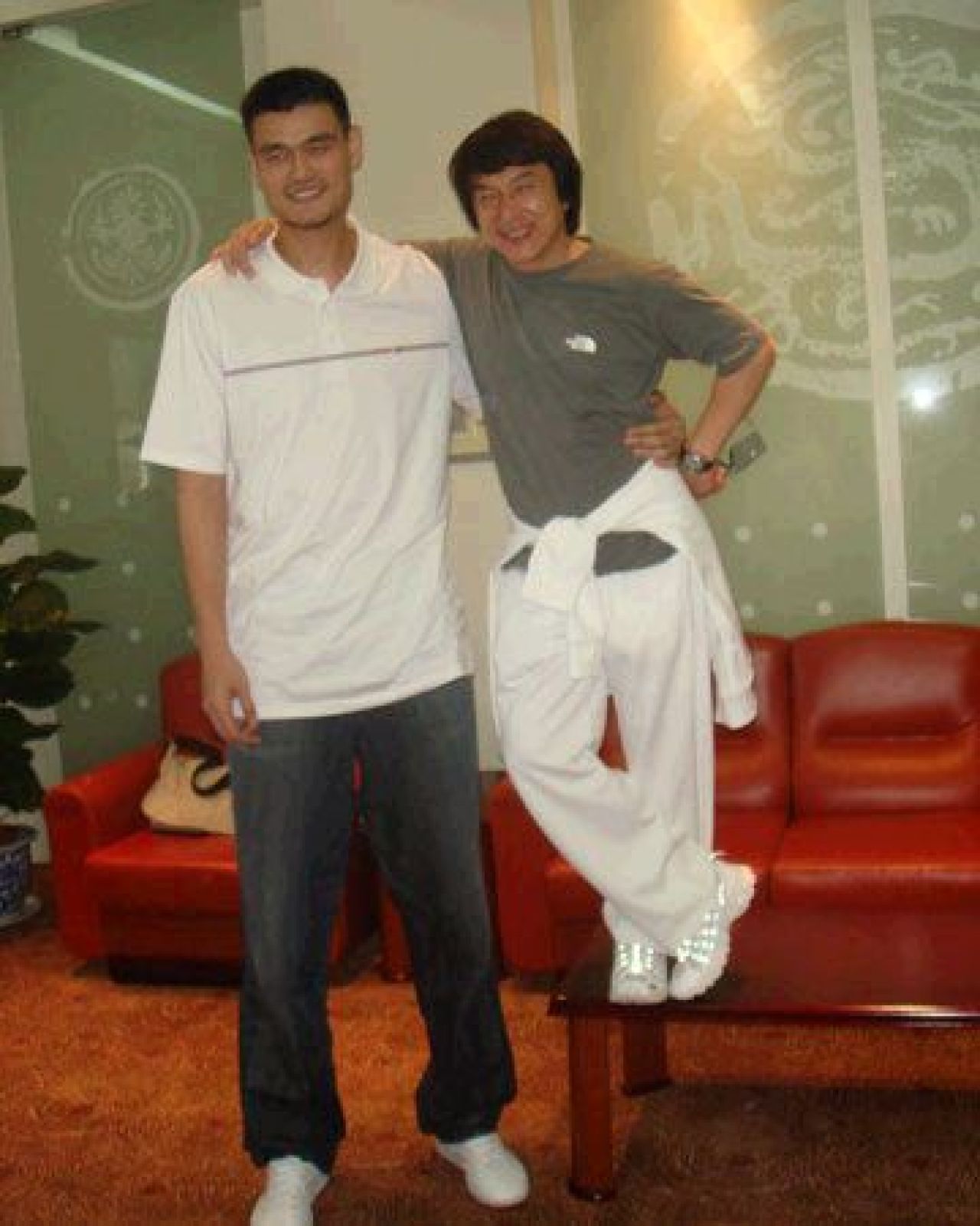 Drama lui Yao Ming: cariera in PERICOL! Vezi SUPER poze:_2