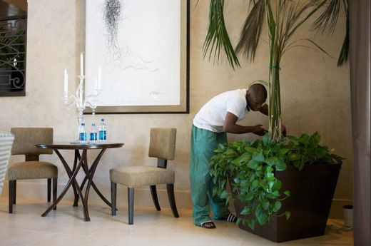 FOTO! Vezi cum arata REGATUL de 9 milioane de dolari al lui Mayweather_11