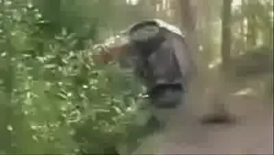 Raikkonen, accident spectaculos in Raliul Finlandei! VIDEO: