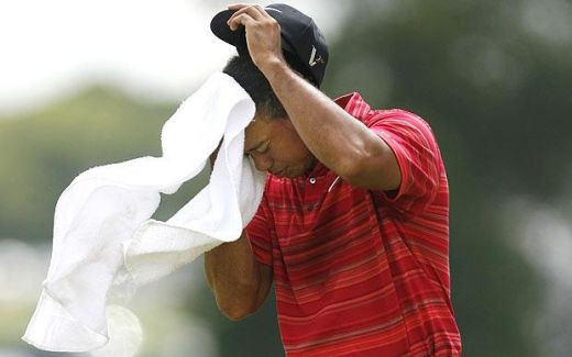 Tiger Woods 1463962i