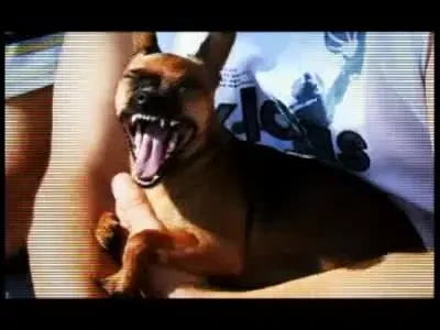 Asta-i adevaratul fotbal romanesc!