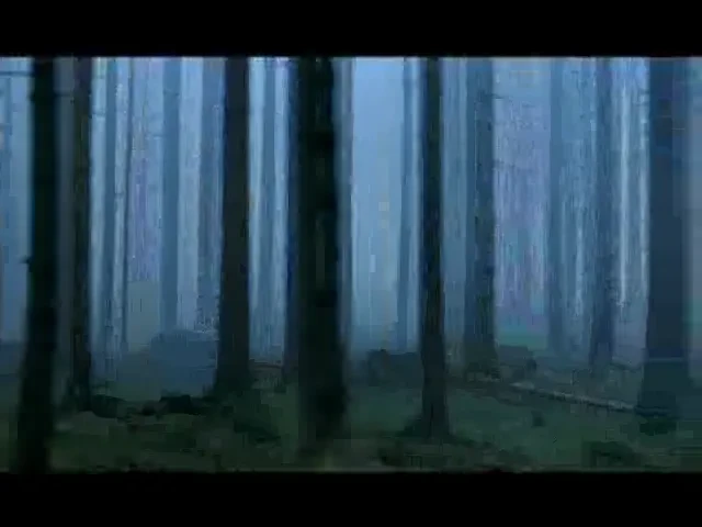 VIDEO / Cum se antreneaza Ribery pentru duelul cu Mutu si Chivu!