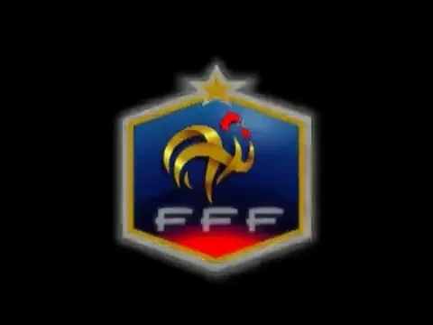 Francezii au 4 goluri in ultimele 7 meciuri! Domenech: Cel mai bun sa castige!