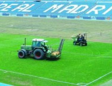 Real Madrid ca Steaua: are 9 zile sa inlocuiasca gazonul! Vezi cum arata iarba! _2