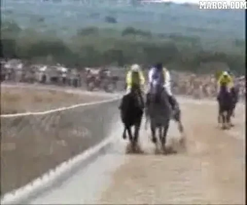 VIDEO / Au oprit o cursa de cai ca se plesneasca intre ei!