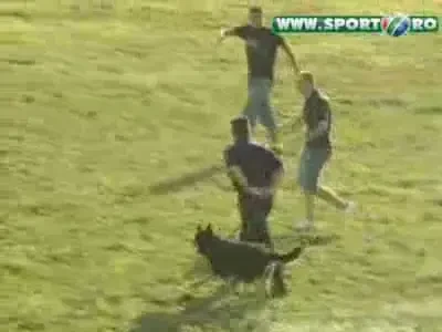 Bataie ca-n filme in liga a doua intre fanii Farului si Petrolului!