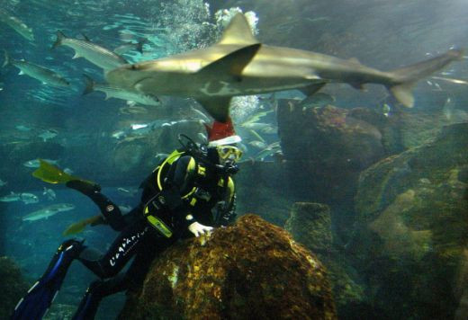 VIDEO / Geniu sau pacalici? Messi, acuzat de simulare in Spania_19