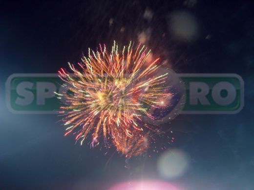 Galerie Foto - Finala Cupei Romaniei_19