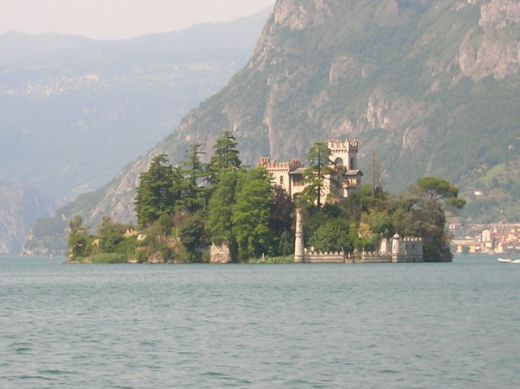 Insula fratiei intre Gigi Becali si Berlusconi_2