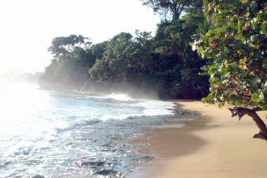 Marcos Tamandare - putina samba de Giulesti!_3