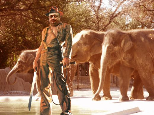 Elefantul Iancu, Batman-Zenga, contele Padureanu, Carnavalul Rio - Meme si fiara Lacatus, imbracati de Halloween!_8