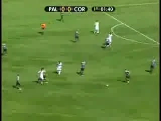 VIDEO / El Gordo a rupt din nou plasa in Brazilia