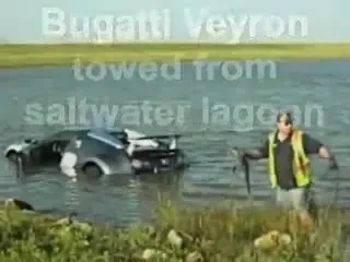 VIDEO! A ajuns cu un Bugatti Veyron de 1.2 mil $ in lac dupa ce s-a speriat de un pelican