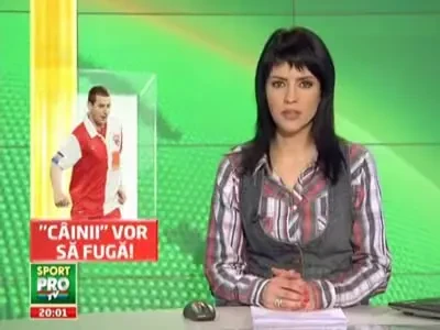 Niculae ii cere banii lui Borcea: Nu l-a obligat nimeni sa semneze contractele!