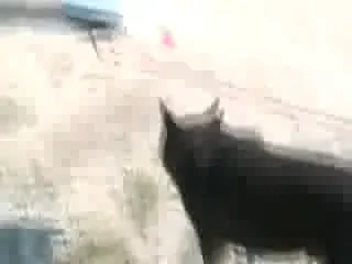 Cum sa scapi de frigiderul vechi? IL ARUNCI IN AER CU AIRBAG-URI! VIDEO: