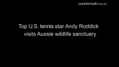 VIDEO: Sex intre doi koala in timpul unui interviu al lui Andy Roddik :)