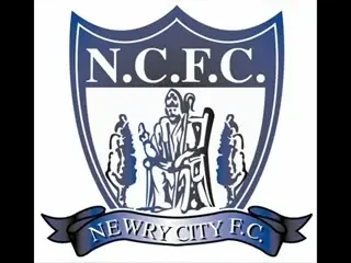 Bataie generala la un meci din&nbsp;Irlanda!&nbsp;VEZI imagini: