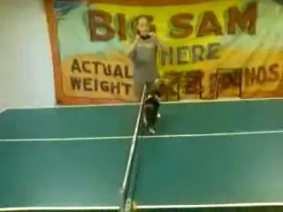 VIDEO! Cum poti sa joci ping pong cu o... pisica :)
