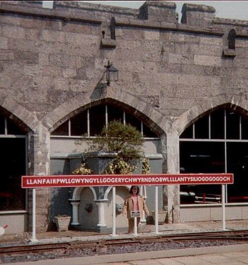 Daca castiga titlul Copos ii duce pe rapidisti in orasul cu 58 de litere in nume!_13