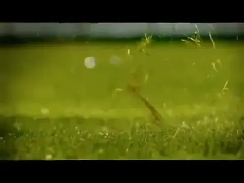 Asta este imnul&nbsp;pentru mondialele din Africa! David Bisbal canta varianta latino!