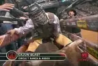 VIDEO:&nbsp;INGROZITOR!&nbsp;A facut facut KO de taur!