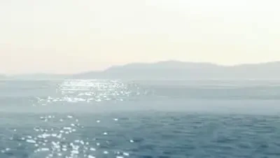 FABULOS: Ce ai putea sa faci cu 100 mil de euro! VIDEO