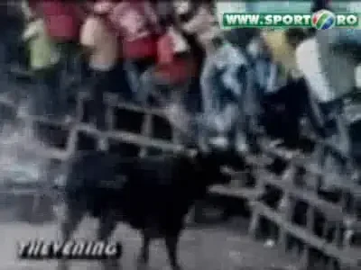 VIDEO / El este omul KAMIKAZE! Vezi ce a facut cu un taur:
