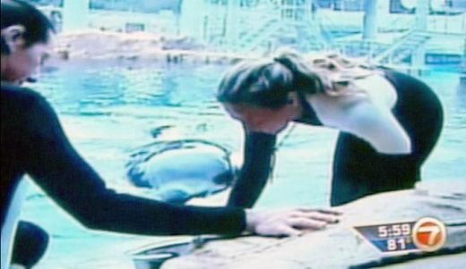 VIDEO / Balena UCIGASA: si-a omorat dresoara din cateva miscari!_4