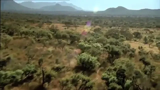 VIDEO / Kaka, Messi, Lampard, Drogba, Henry si Arshavin au facut cea mai TARE reclama la Pepsi!