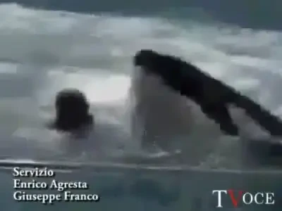 SPORT CRIMINAL! Vezi primele imagini VIDEO AMATOR cu banela care si-a ucis dresoarea