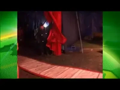 VIDEO&nbsp;Dinamo - Steaua s-a jucat la circ! Vezi ce gol a dat Banel pudel Nicolita! :))