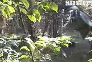 VIDEO / Un jucator din NFL a revolutionat antrenamentele! Alearga GOL prin padure: