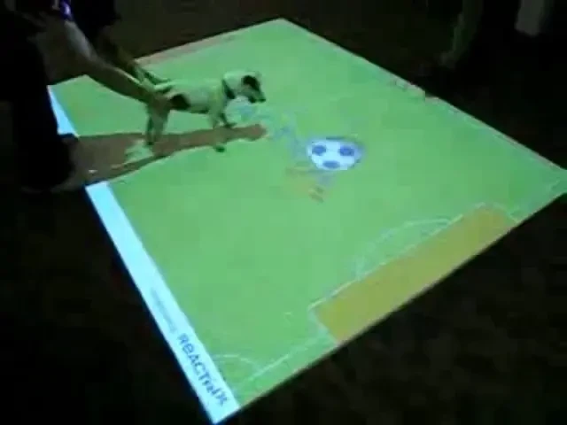 VIDEO! Primul joc de fotbal inventat pentru caini in care nu poti sa-i dai pasa de gol adversarului :)