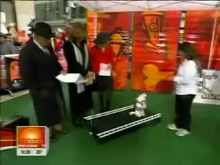 VIDEO: Un chihuahua a invatat sa joace golf!