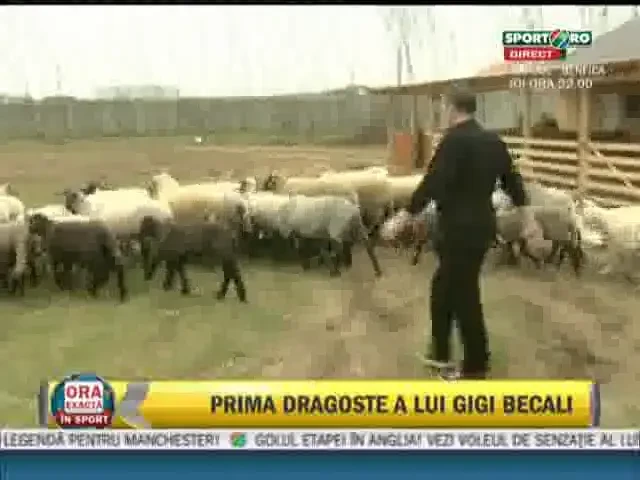 Vezi primul episod din serialul Gigi Becali si oile sale .